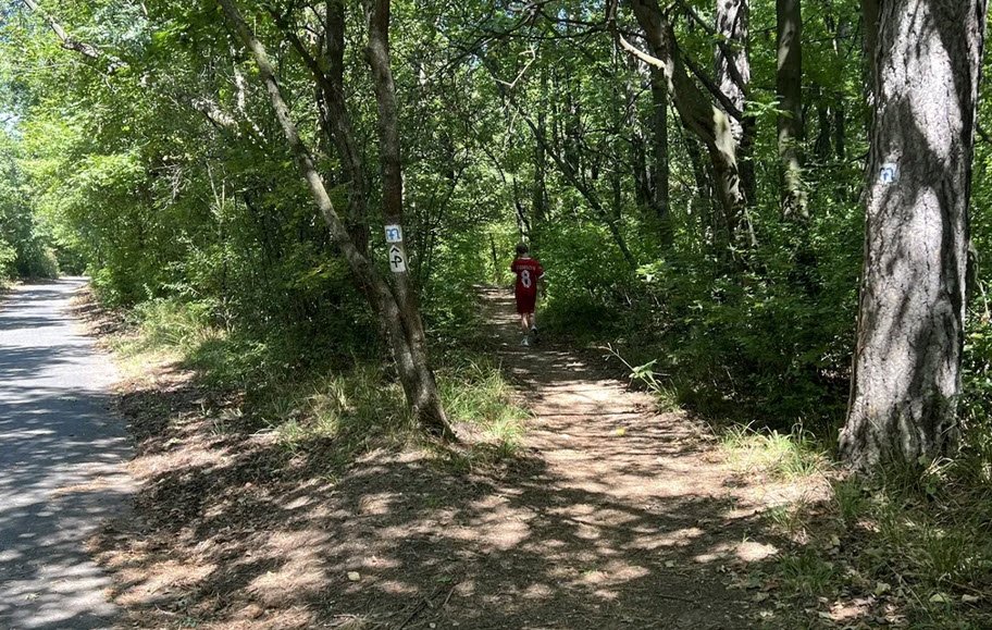 Budakeszi Arboretum, Hungary
